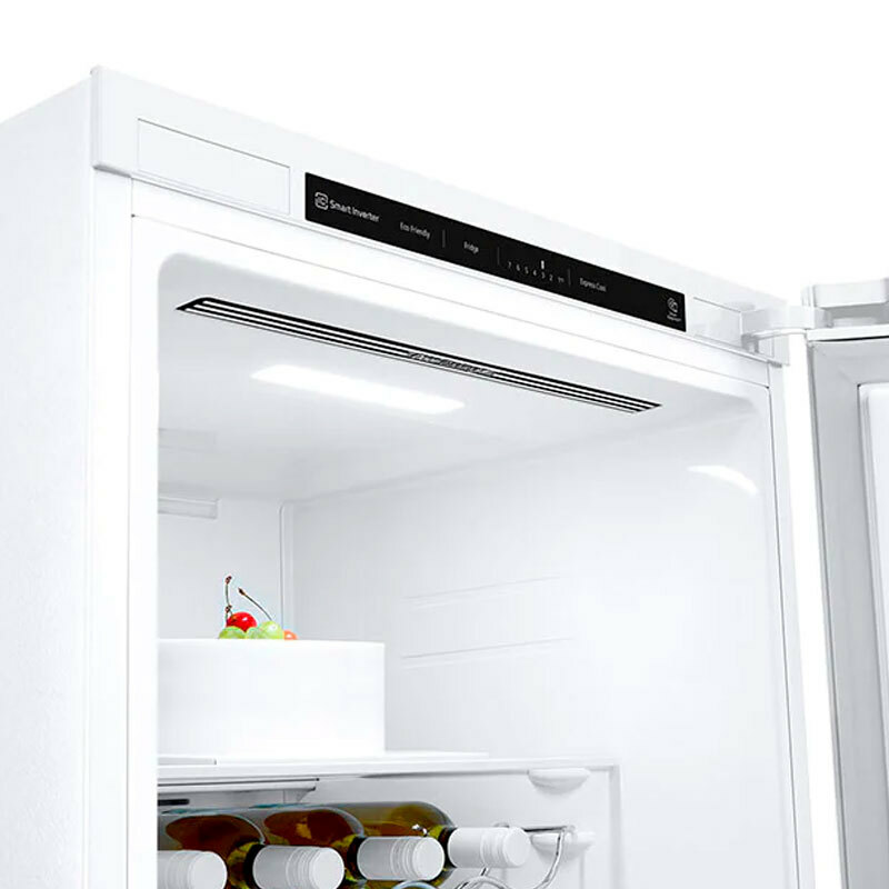 Frigorífico 1 puerta LG GLT51SWGSZ Blanco