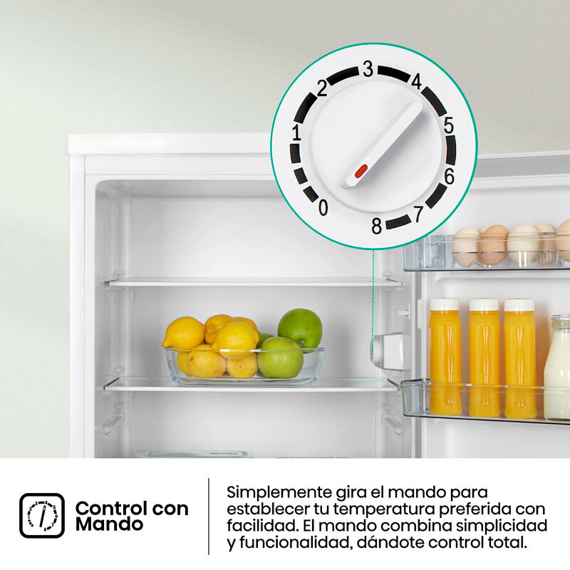 Frigorífico 1 Puerta Hisense RL170D4BWE Blanco